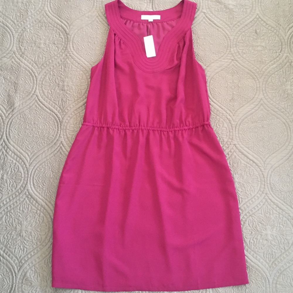 Ann Taylor Loft Dress